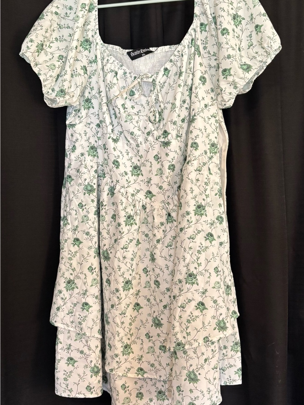 Scarlet Darkness Floral Dress